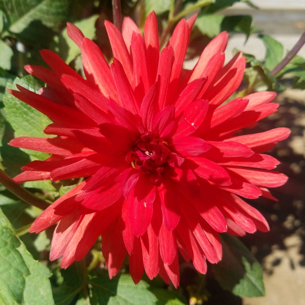 Meet your Posher, Staci